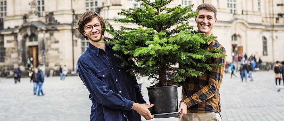 Öko-Startup aus Sachsen will den Weihnachtsbaum retten 