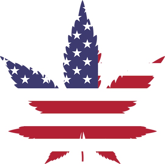 Immer mehr Bundesstaaten in den USA legalisieren Cannabis. Es warten riesige Geschäfte - für die Privatwirtschaft und für den Staat. Foto: Gordon Johnson via Pixabay