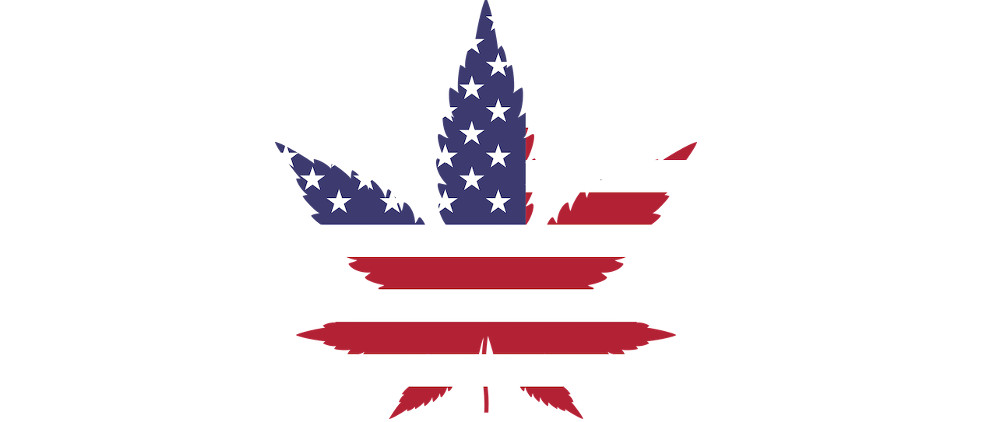 Immer mehr Bundesstaaten in den USA legalisieren Cannabis. Es warten riesige Geschäfte - für die Privatwirtschaft und für den Staat. Foto: Gordon Johnson via Pixabay